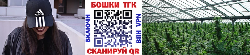 купить  цена  Томилино  Конопля сатива 